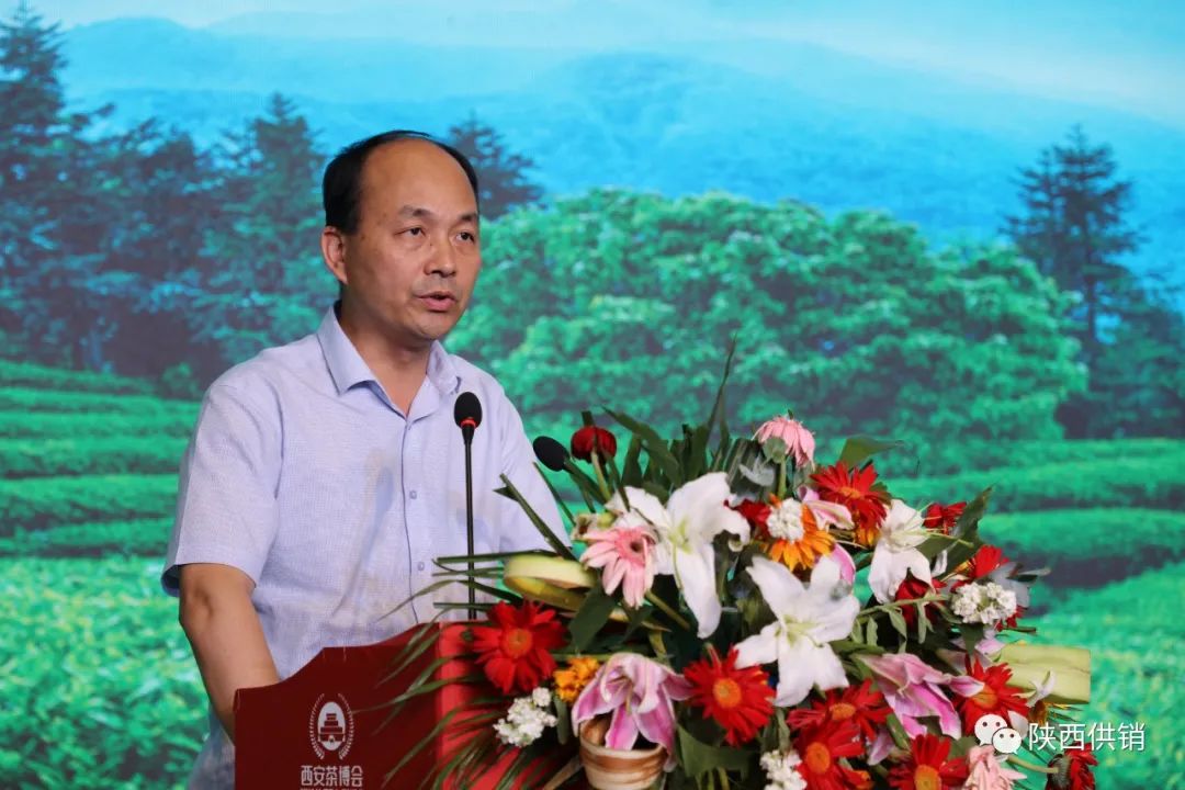 凤凰山富硒茶(凤凰硒谷)-硒宝网