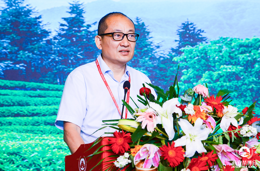 凤凰山富硒茶(凤凰硒谷)-硒宝网