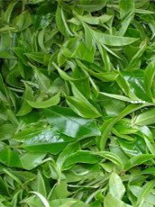 去哪买富硒茶(富硒茶口感)-硒宝网