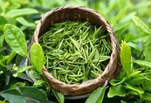 富硒熟普洱茶（普洱茶硒含量）-硒宝网