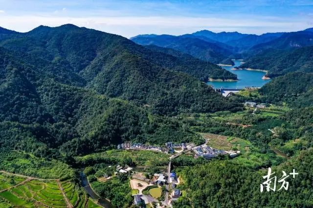 供销社富硒茶（富硒茶批发）-硒宝网