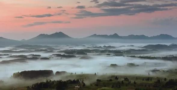 凤岗富锌硒茶(凤岗富硒茶价格)-硒宝网