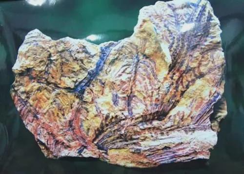 凤岗富锌硒茶(凤岗富硒茶价格)-硒宝网