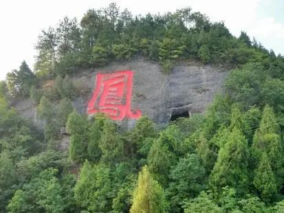 凤岗富锌硒茶(凤岗富硒茶价格)-硒宝网