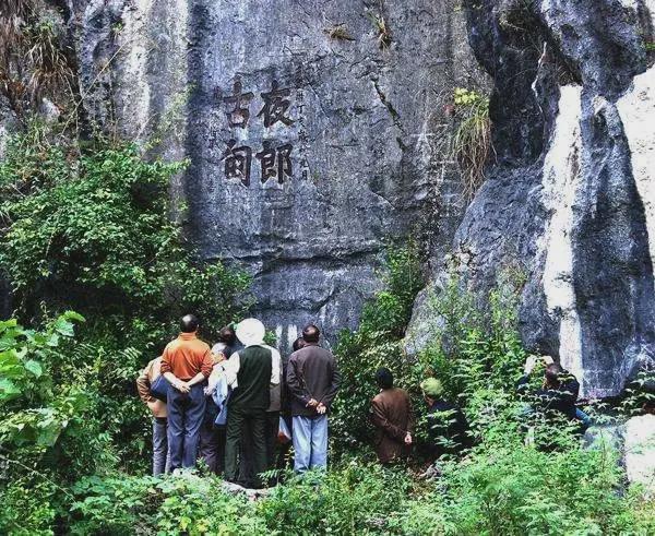 凤岗富锌硒茶(凤岗富硒茶价格)-硒宝网