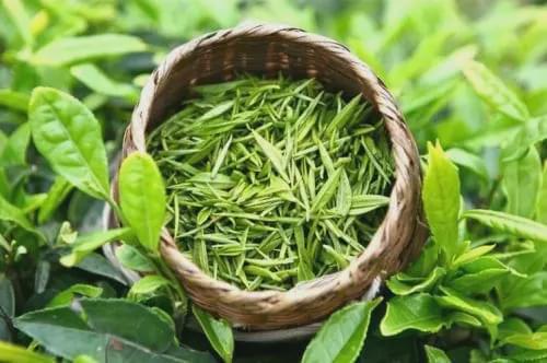 凤岗富锌硒茶(凤岗富硒茶价格)-硒宝网