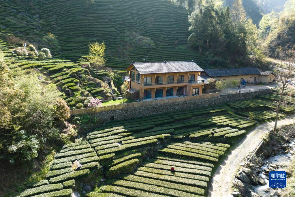 兴业县富硒茶(富硒茶园)-硒宝网