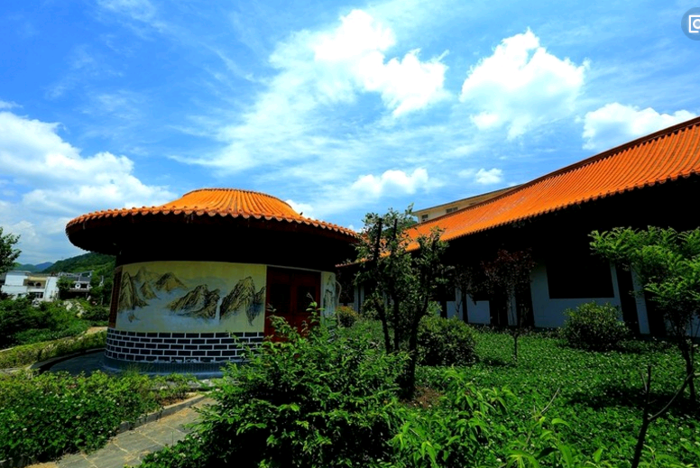 武夷山富硒茶(武夷山富翔茶叶价格)-硒宝网