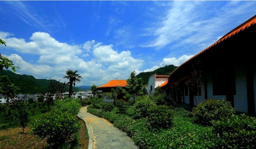 武夷山富硒茶(武夷山富翔茶叶价格)-硒宝网