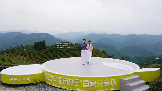 4号线富硒茶（富硒茶走廊）-硒宝网