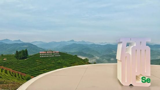 4号线富硒茶（富硒茶走廊）-硒宝网