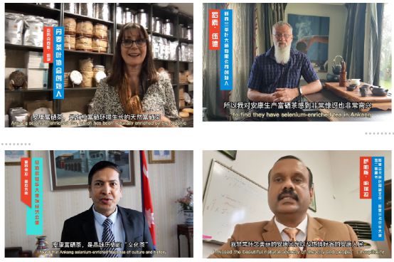 4号线富硒茶（富硒茶走廊）-硒宝网