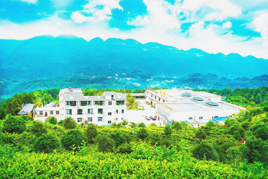 富硒茶亲稀源（原生态富硒茶）-硒宝网