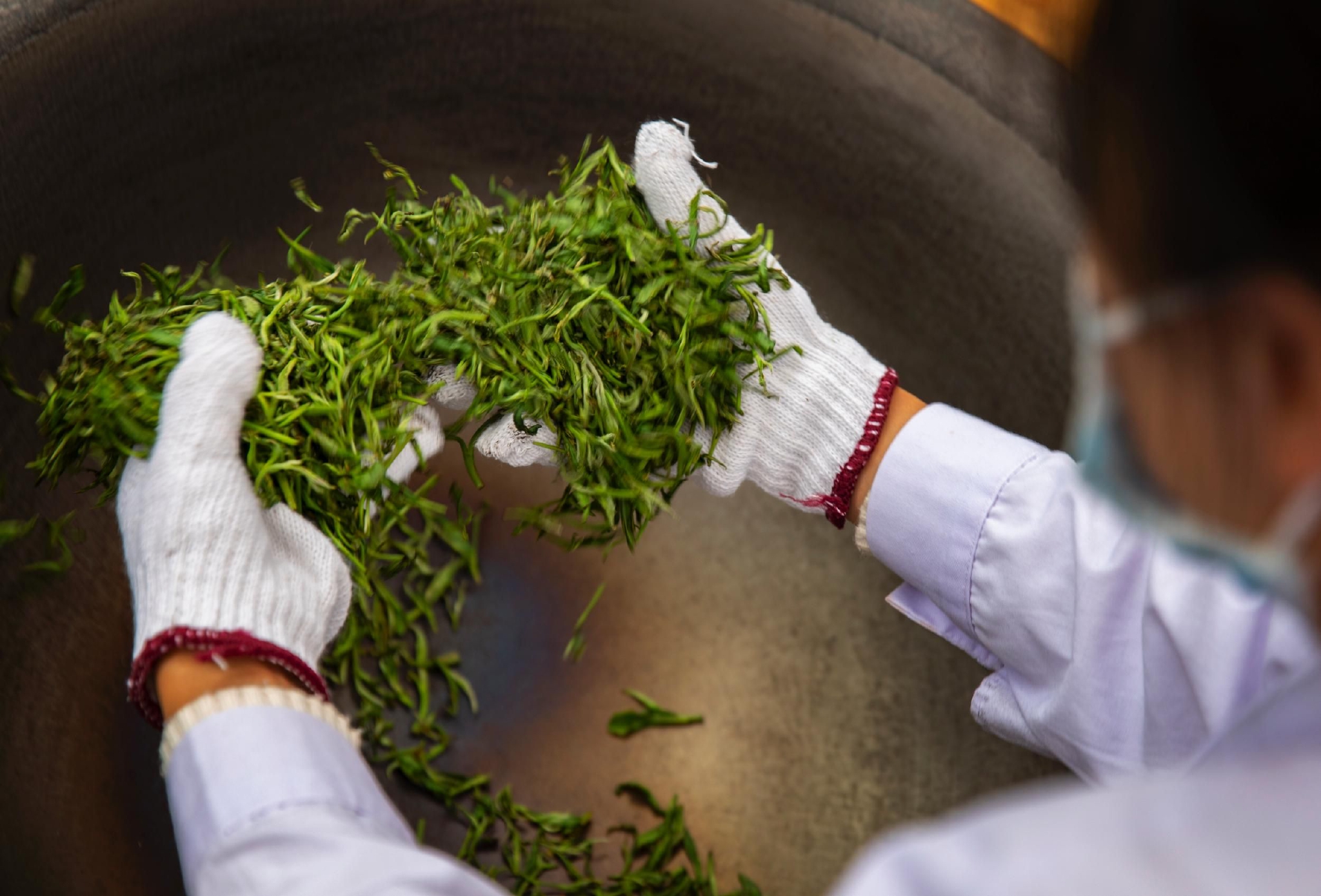 凤岗富锌硒茶（凤岗锌硒茶价格）-硒宝网