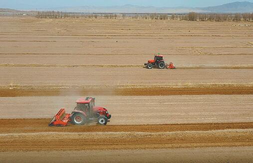 富硒绞般兰茶(绞般兰的功效)-硒宝网