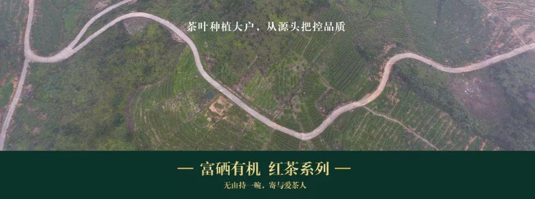 武夷山富硒茶（武阳富硒茶）-硒宝网