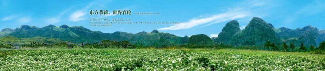 武夷山富硒茶（武阳富硒茶）-硒宝网