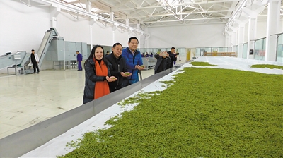 蒙顶山富硒茶（蒙顶山富硒茶）-硒宝网