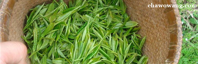 尚品富硒贡茶（尚品贡茶官网）-硒宝网