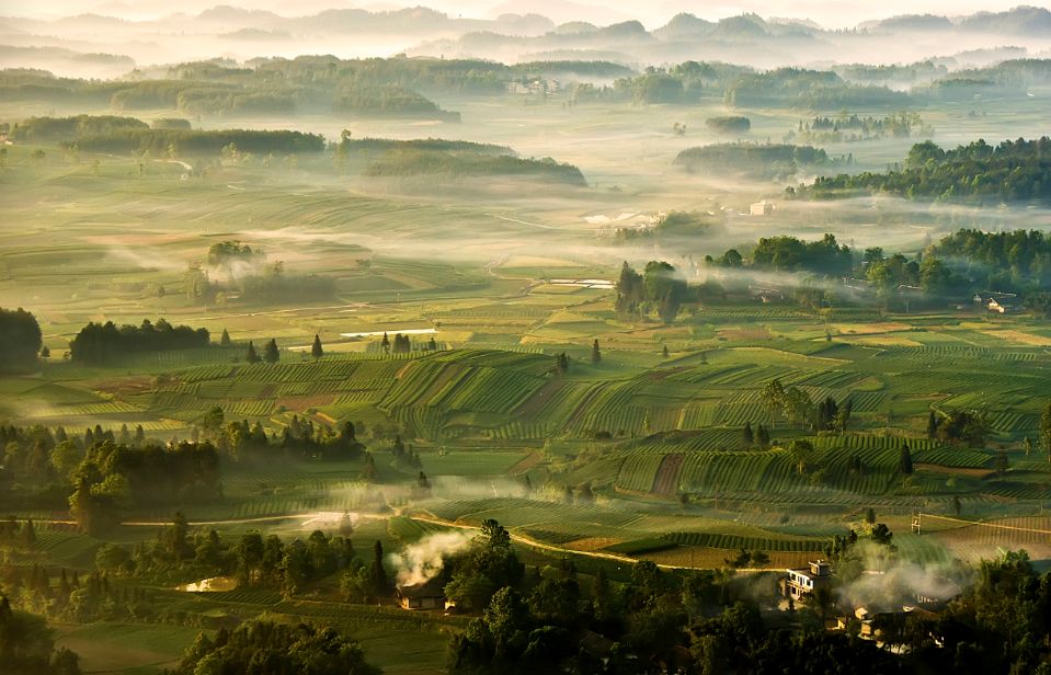 凤冈县富硒茶(凤岗硒茶价格)-硒宝网