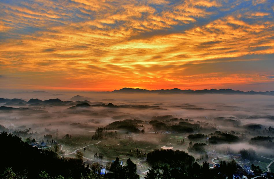 凤冈县富硒茶(凤岗硒茶价格)-硒宝网