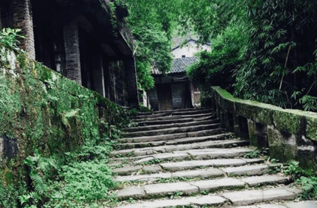 西岭红富硒茶（硒岭红富硒茶）-硒宝网