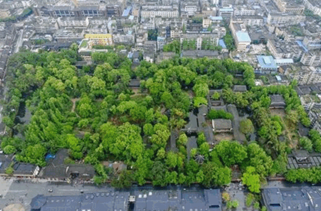 西岭红富硒茶（硒岭红富硒茶）-硒宝网