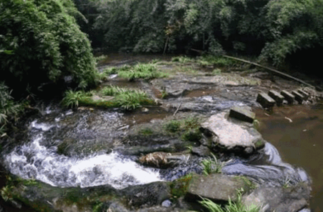 西岭红富硒茶（硒岭红富硒茶）-硒宝网