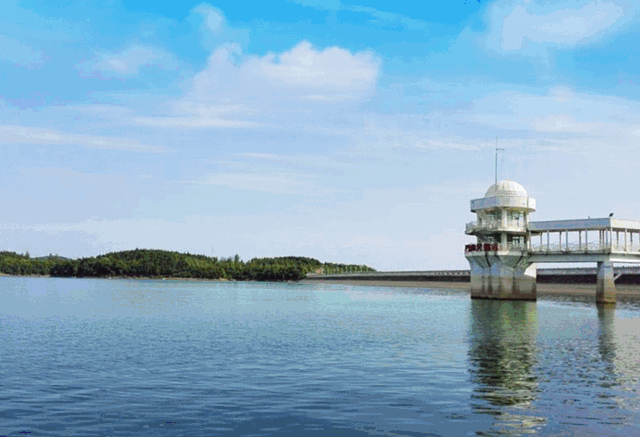 西岭红富硒茶（硒岭红富硒茶）-硒宝网