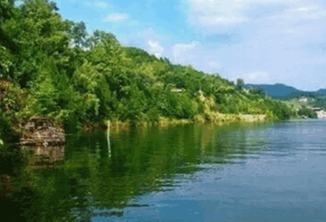 西岭红富硒茶（硒岭红富硒茶）-硒宝网