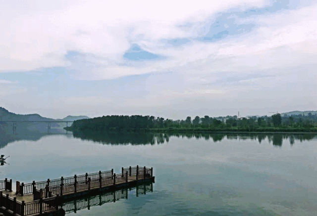 西岭红富硒茶（硒岭红富硒茶）-硒宝网