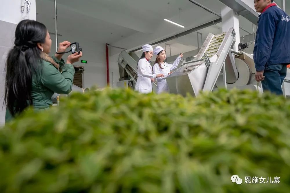 天之方富硒茶(富硒茶的硒指的是什么)-硒宝网