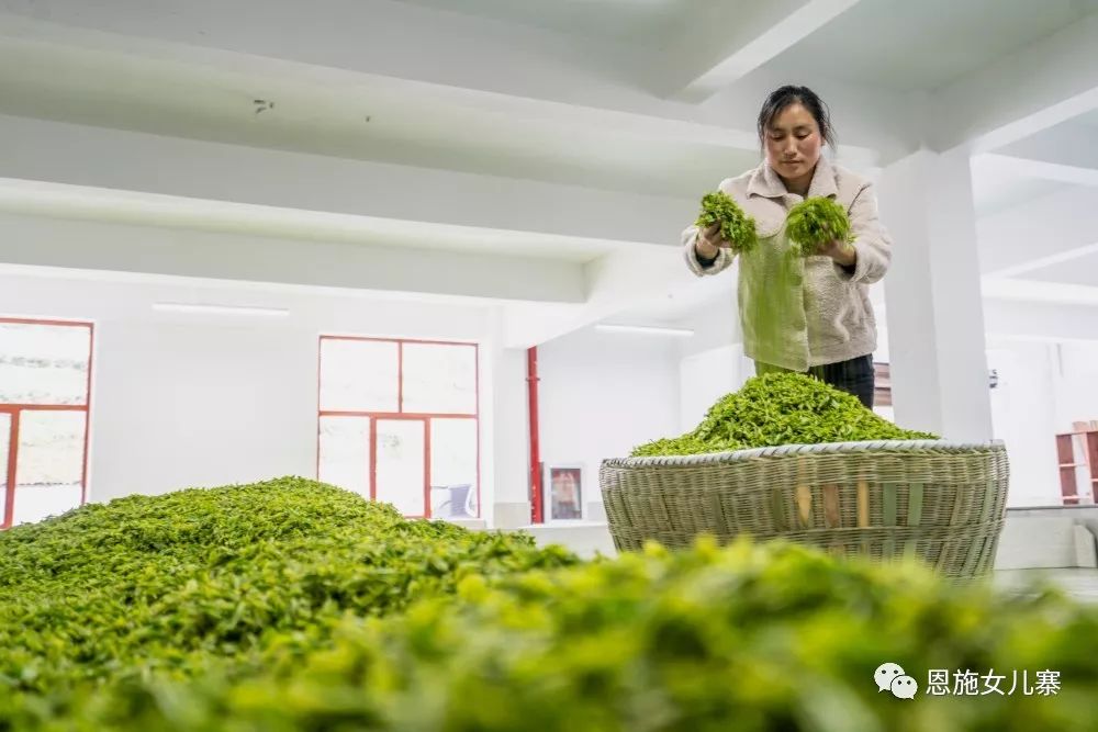 天之方富硒茶(富硒茶的硒指的是什么)-硒宝网
