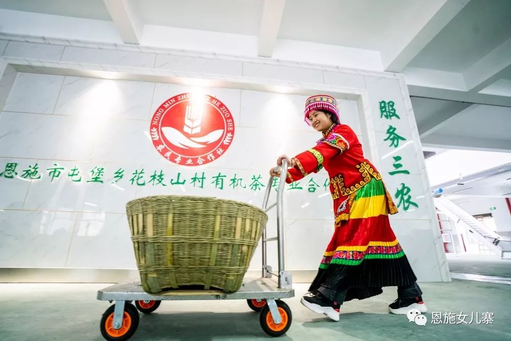 天之方富硒茶(富硒茶的硒指的是什么)-硒宝网