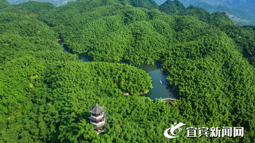 北九华富硒茶（九华茶坊村）-硒宝网