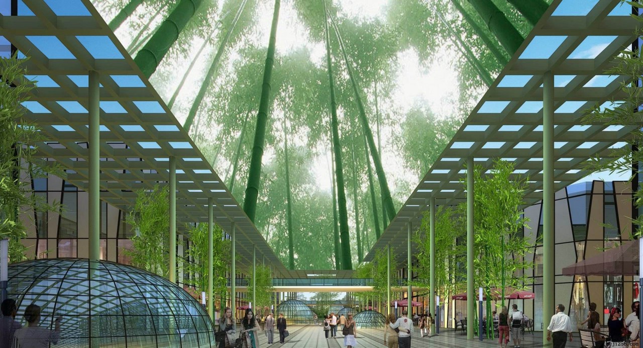 北九华富硒茶（九华茶坊村）-硒宝网