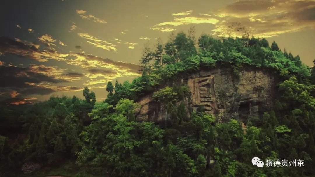 凤冈县富硒茶（凤岗富硒茶价格）-硒宝网