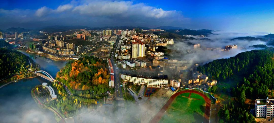 贵阳市富硒茶（贵州富硒茶多少钱一斤）-硒宝网