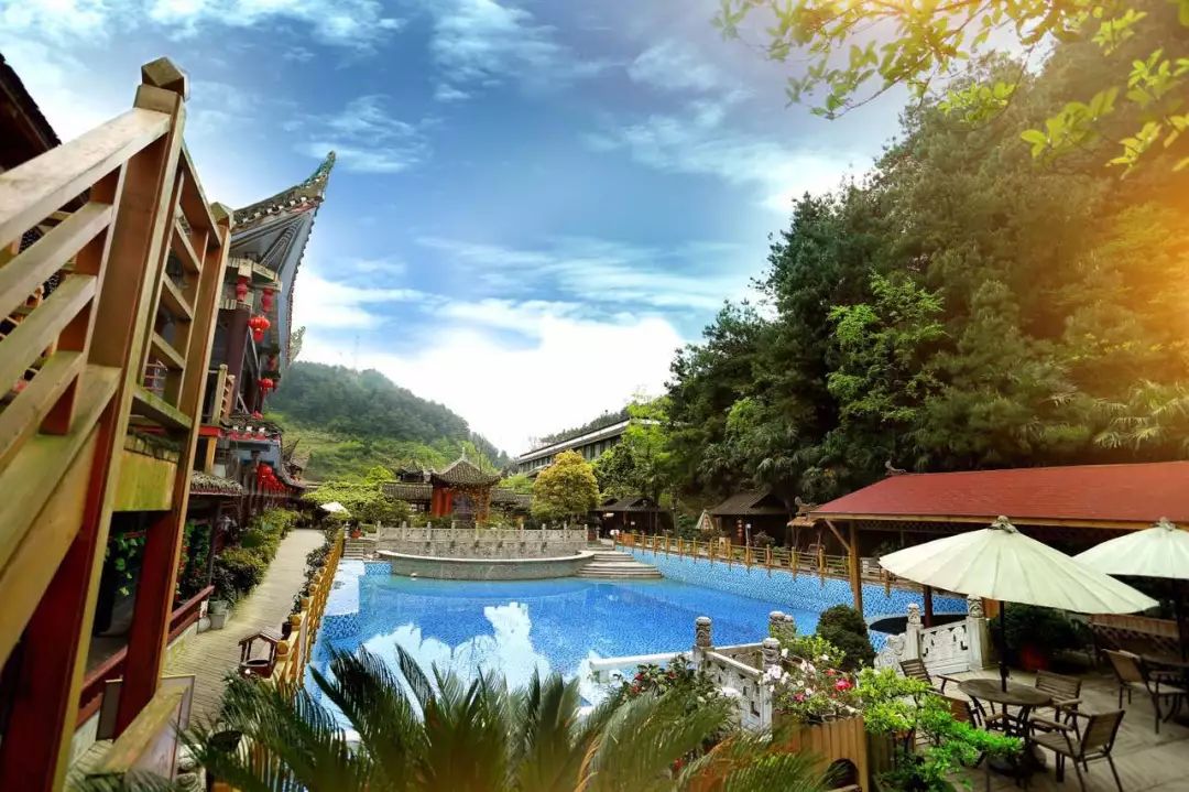 贵阳市富硒茶（贵州富硒茶多少钱一斤）-硒宝网