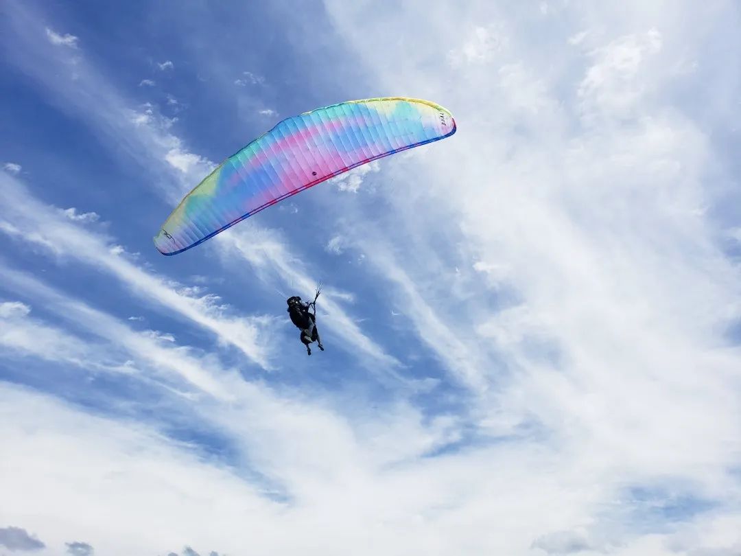 贵阳市富硒茶（贵州富硒茶多少钱一斤）-硒宝网