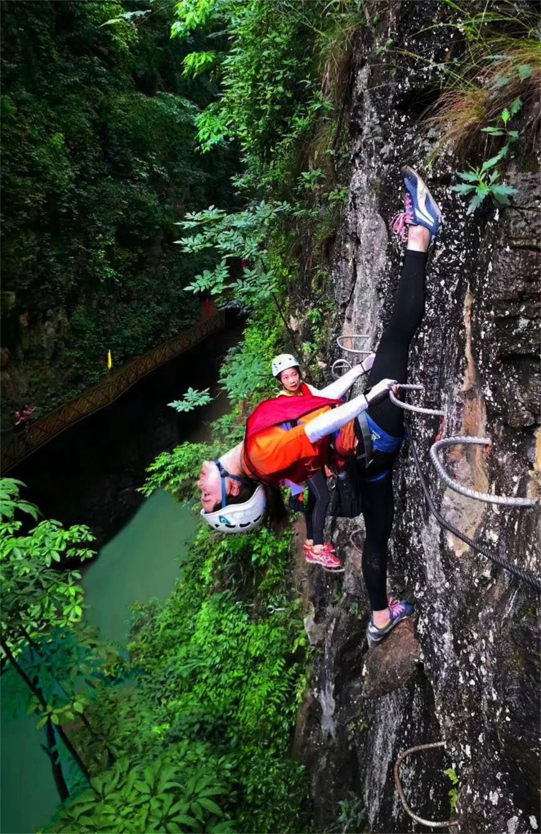 贵阳市富硒茶（贵州富硒茶多少钱一斤）-硒宝网