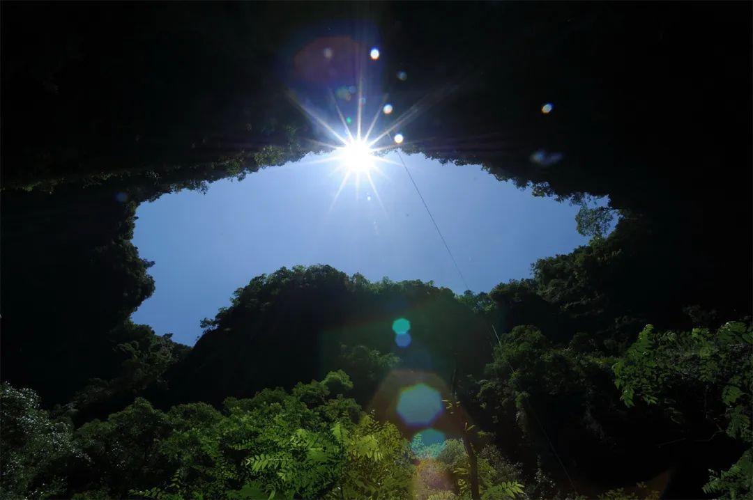 贵阳市富硒茶（贵州富硒茶多少钱一斤）-硒宝网