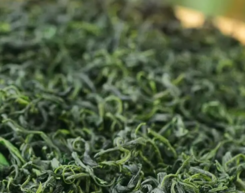 富硒茶靠谱吗(富硒茶具)-硒宝网