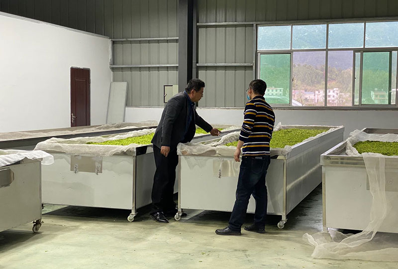 富硒茶专卖店(富硒茶批发)-硒宝网