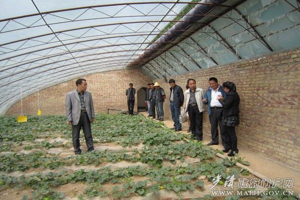 富硒茶提取物(提取茶物富硒的作用)-硒宝网