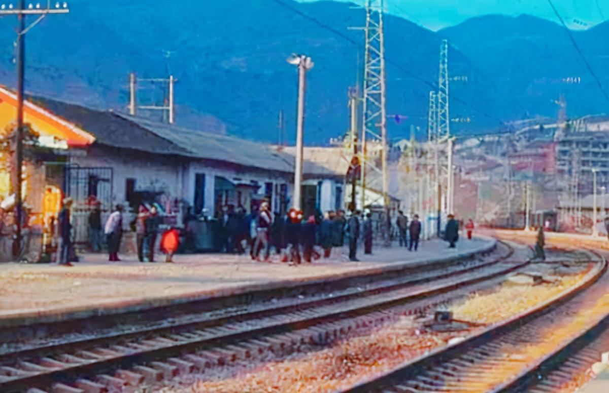 电视剧富硒茶(富硒茶具)-硒宝网