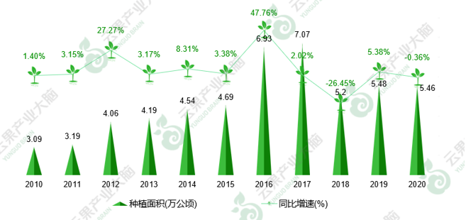 富硒矛岩莓茶(茅岩莓茶的功效与作用一)-硒宝网