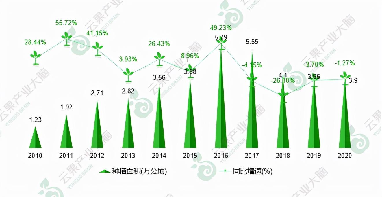 富硒矛岩莓茶(茅岩莓茶的功效与作用一)-硒宝网