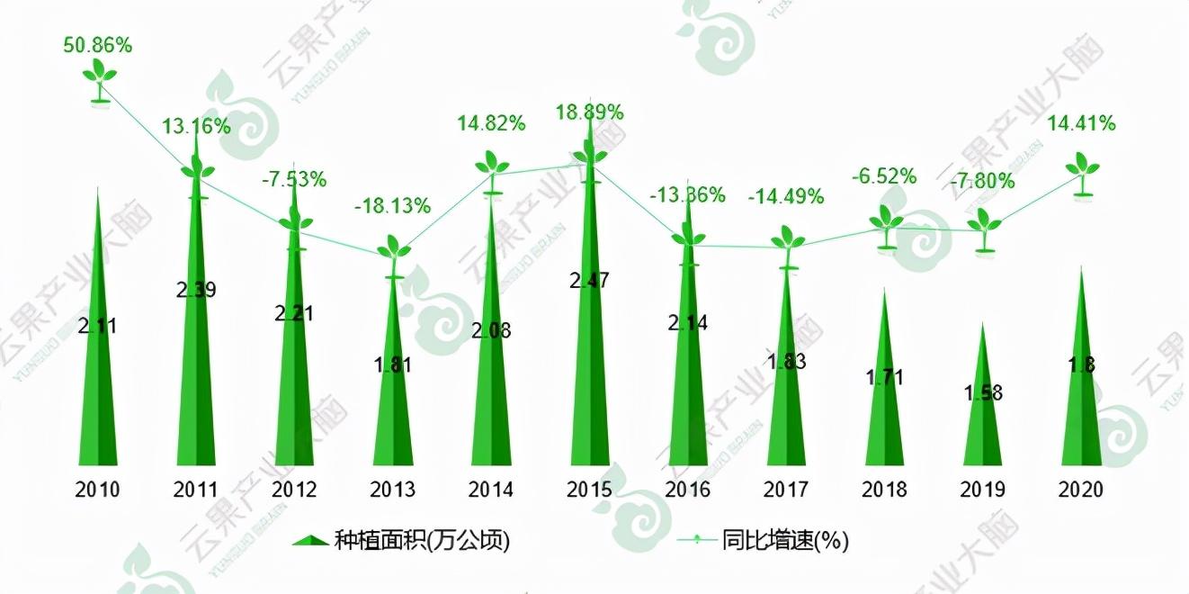 富硒矛岩莓茶(茅岩莓茶的功效与作用一)-硒宝网