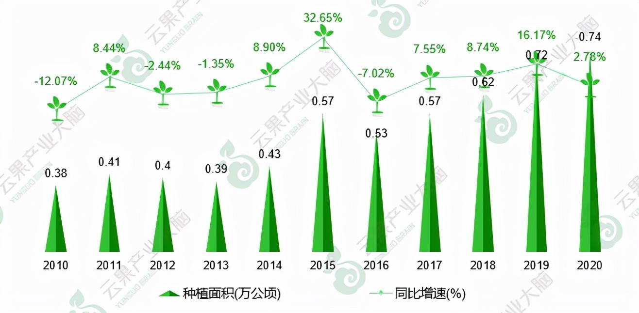 富硒矛岩莓茶(茅岩莓茶的功效与作用一)-硒宝网